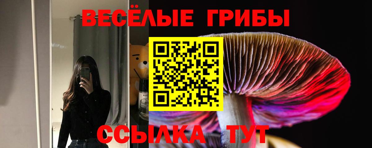 Псилоцибиновые грибы ЛСД Малоярославец